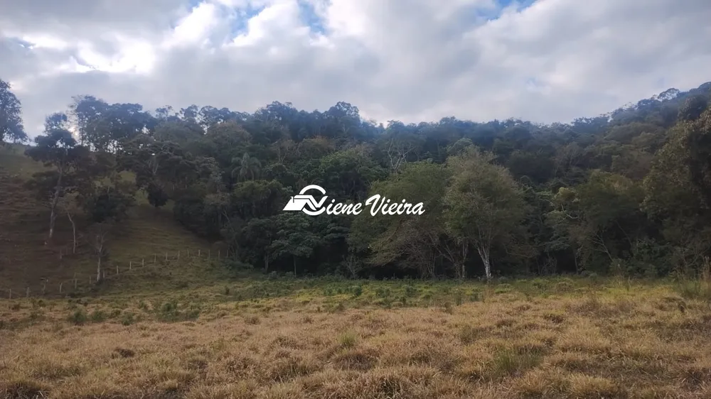Terreno, 6 hectares - Foto 6