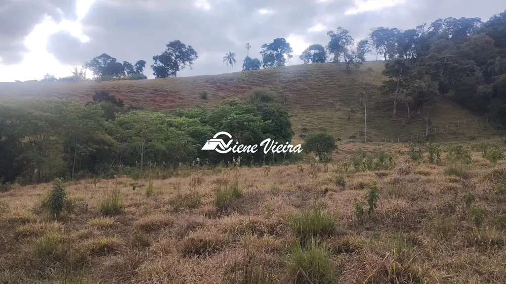Terreno, 6 hectares - Foto 7