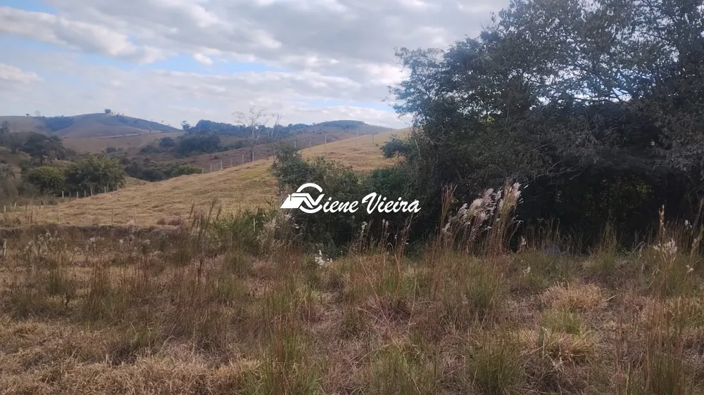 Terreno, 6 hectares - Foto 4