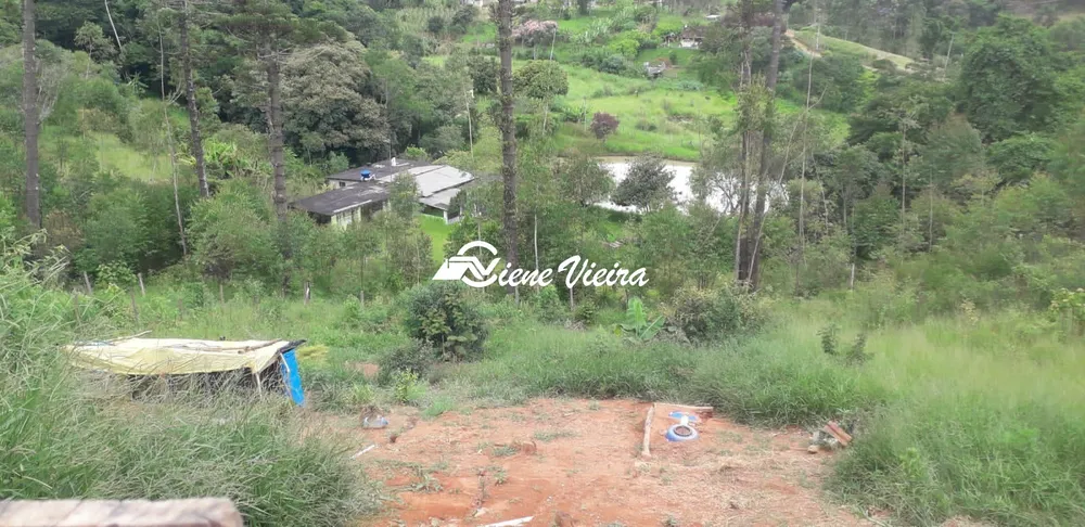 Chácara, 3 quartos, 1200 m² - Foto 4