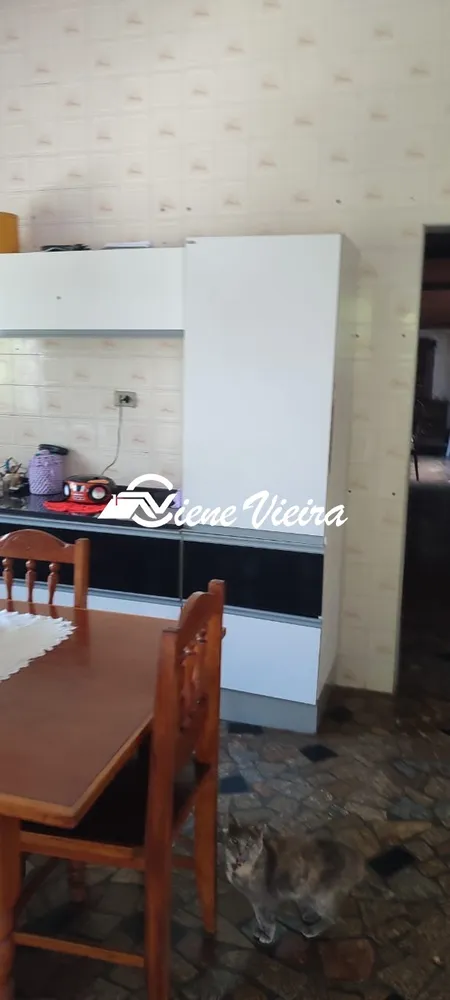 Chácara, 3 quartos, 6000 m² - Foto 3