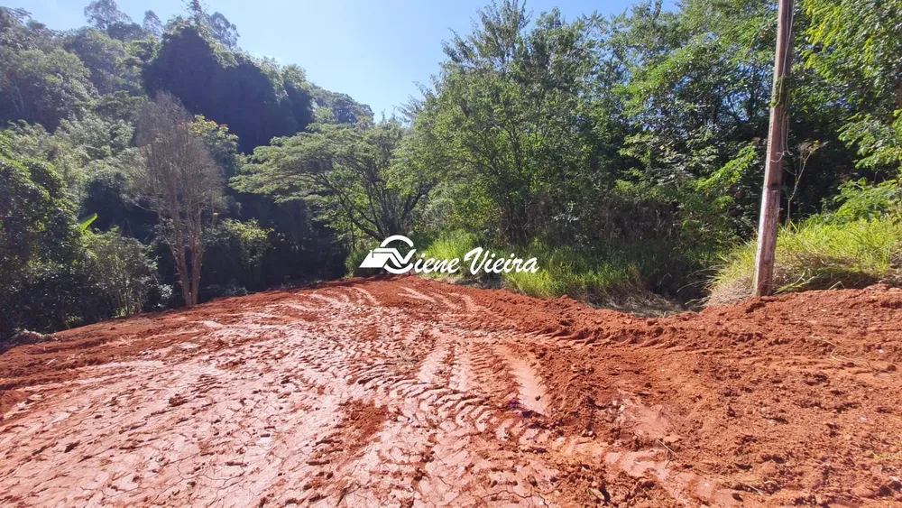 Terreno, 3000 m² - Foto 3