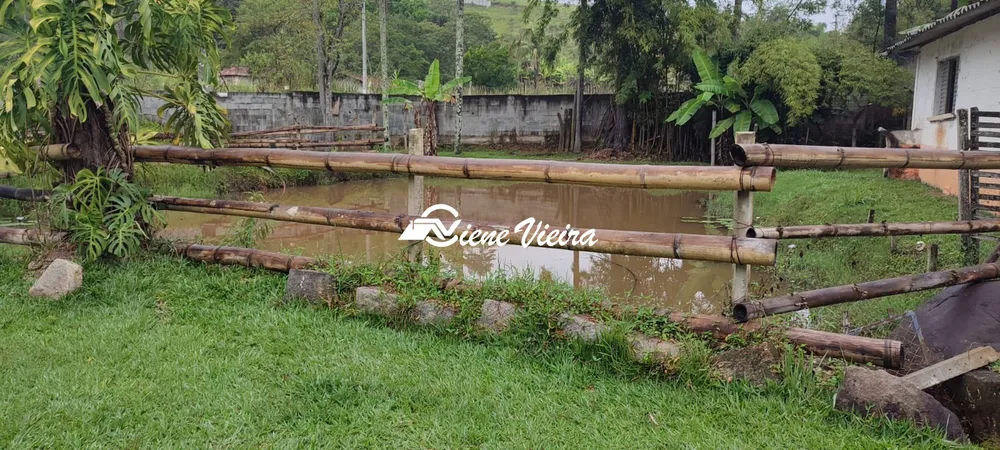 Chácara, 6 quartos, 2 hectares - Foto 3