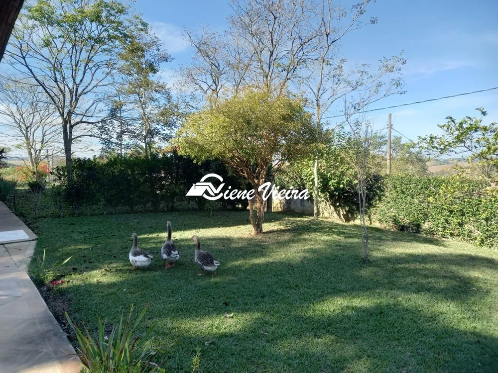 Chácara, 5 quartos, 2000 m² - Foto 4