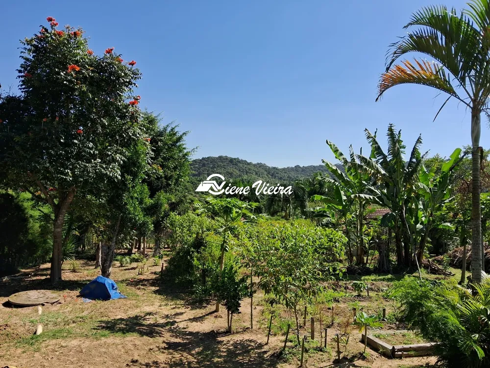 Chácara, 3 quartos, 2500 m² - Foto 5