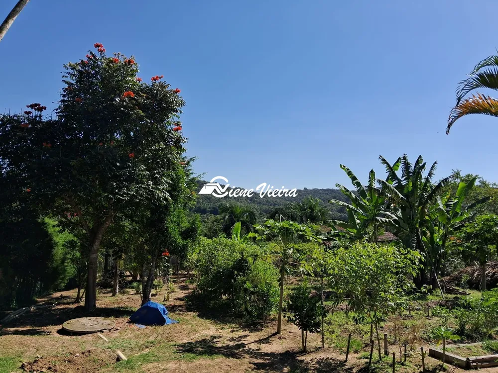 Chácara, 3 quartos, 2500 m² - Foto 4