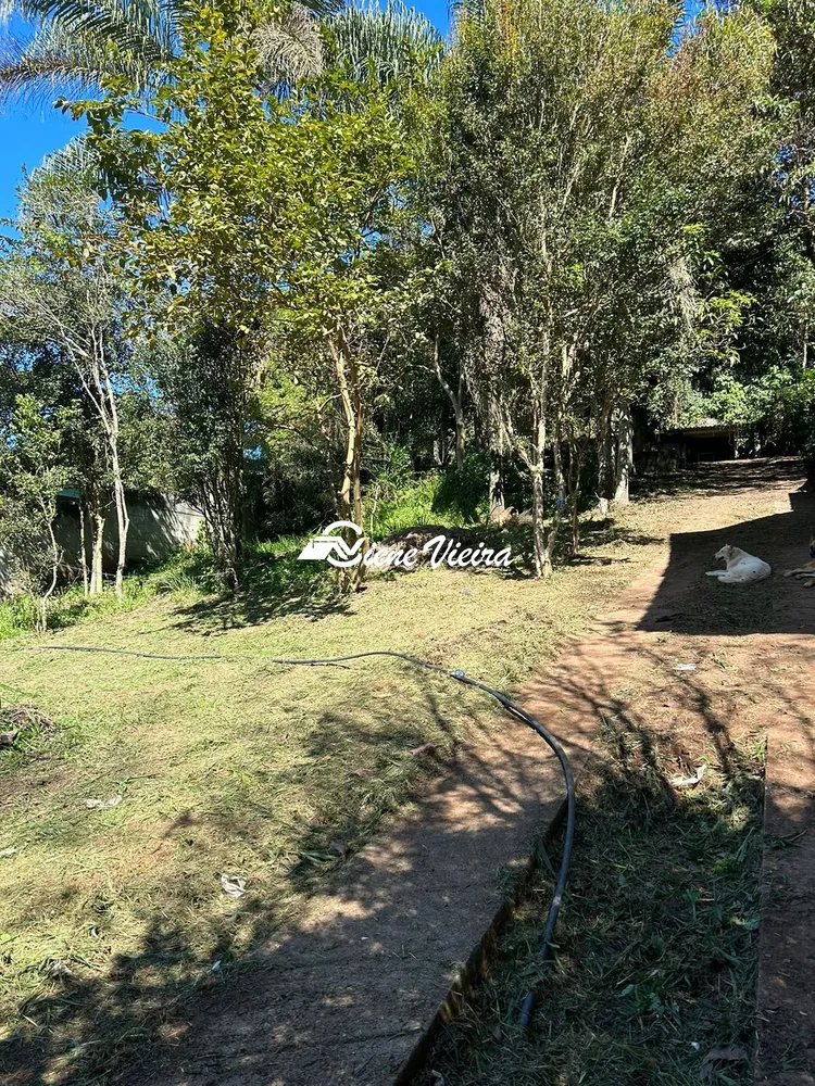 Chácara, 2 quartos, 1558 m² - Foto 3
