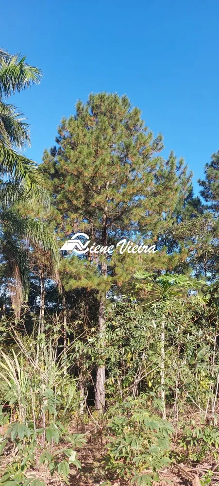 Terreno, 2403 m² - Foto 5