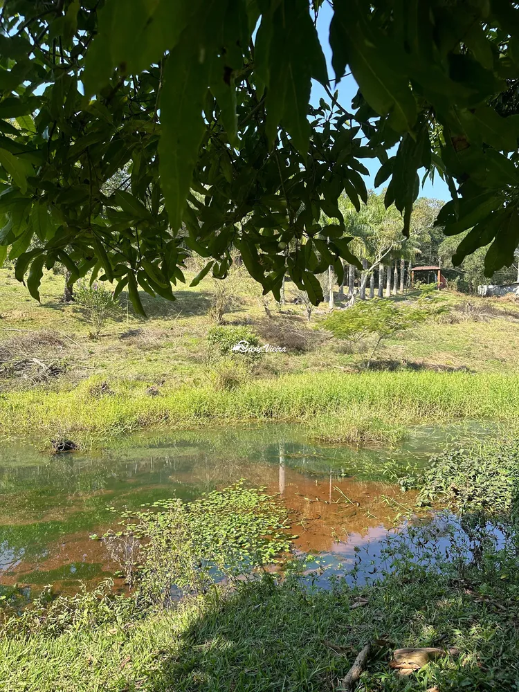 Chácara, 2 quartos, 3 hectares - Foto 6