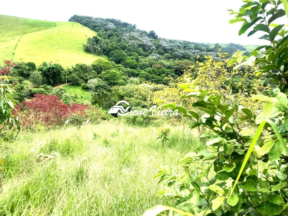 Terreno, 5000 m² - Foto 1