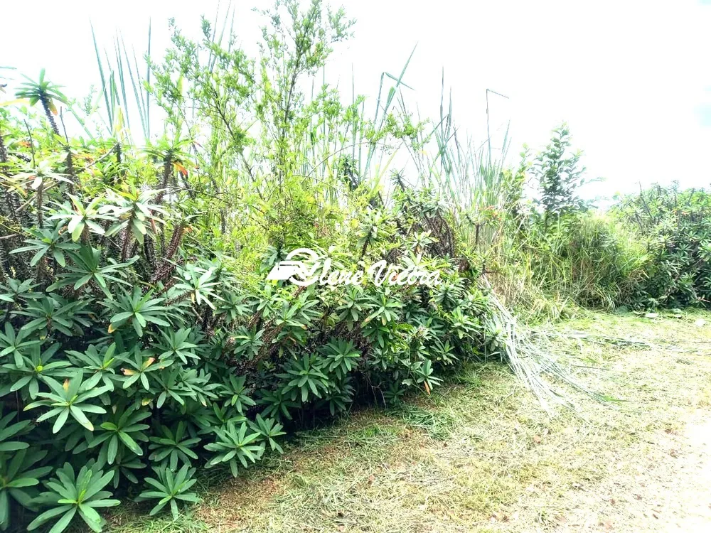 Terreno, 5000 m² - Foto 3