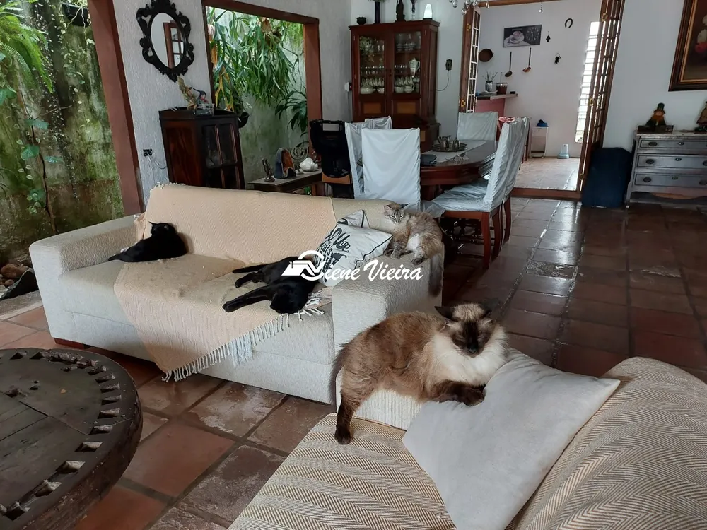 Casa, 3 quartos, 300 m² - Foto 5