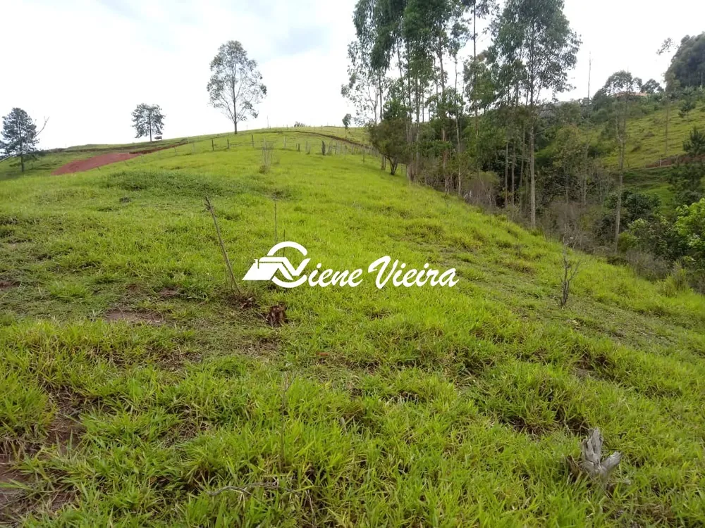 Terreno, 2 hectares - Foto 3
