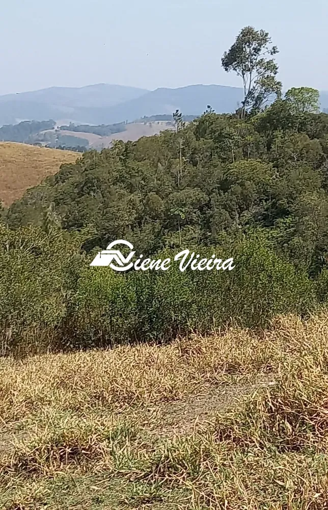 Terreno, 2 hectares - Foto 6