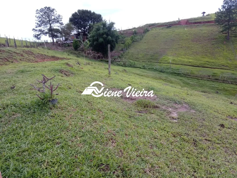 Terreno, 2 hectares - Foto 7