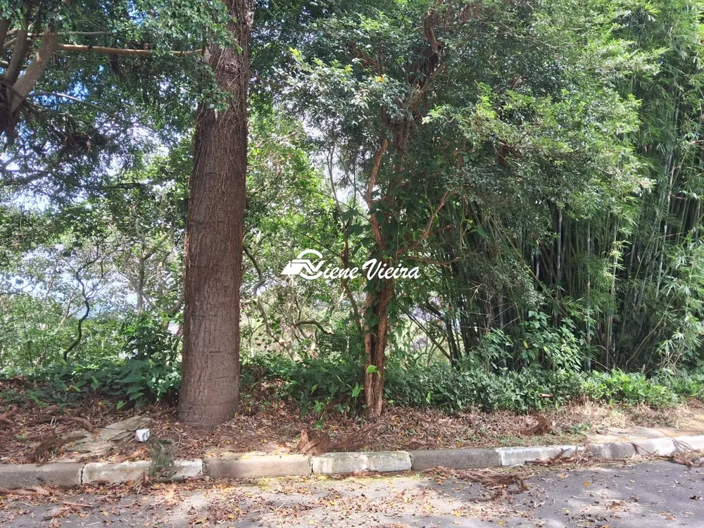 Terreno, 1200 m² - Foto 7