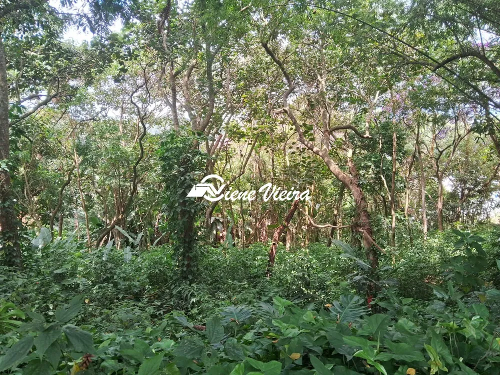 Terreno, 1200 m² - Foto 5