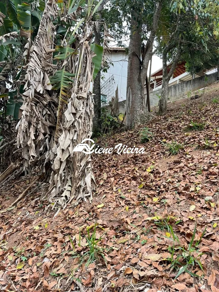 Terreno, 1000 m² - Foto 5