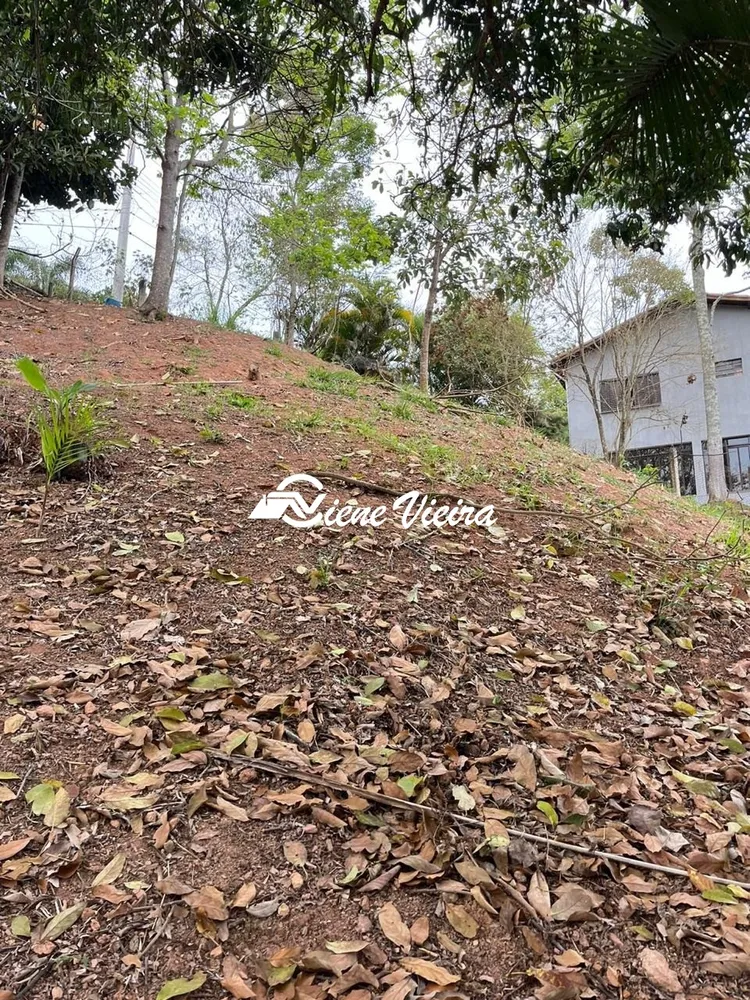 Terreno, 1000 m² - Foto 4