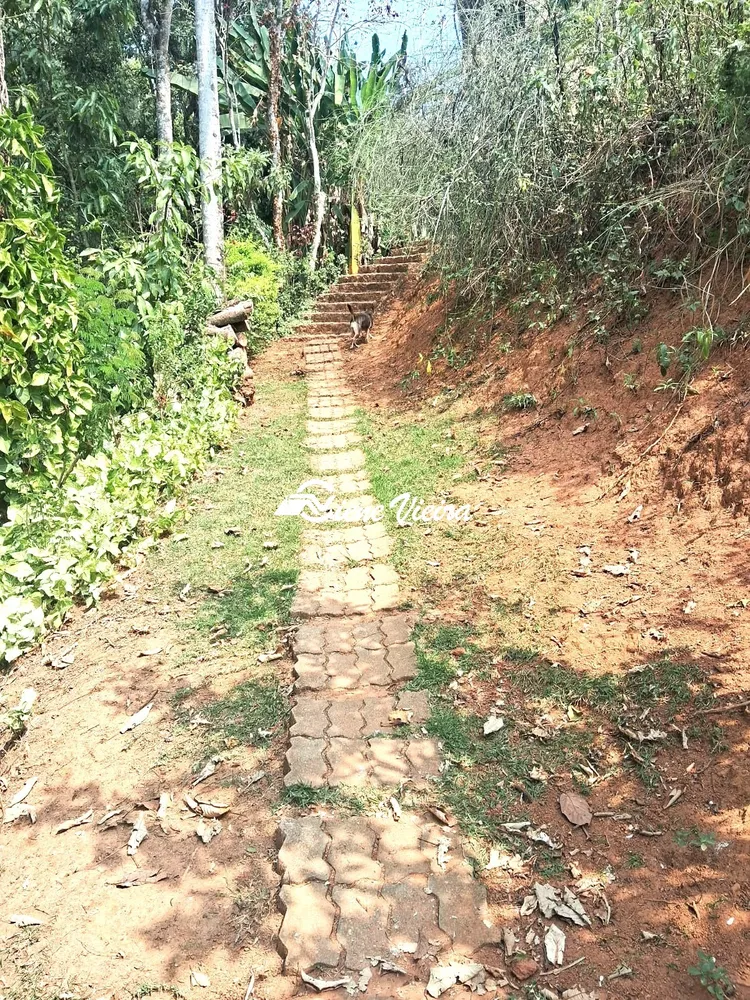 Chácara, 4 quartos, 4000 m² - Foto 5