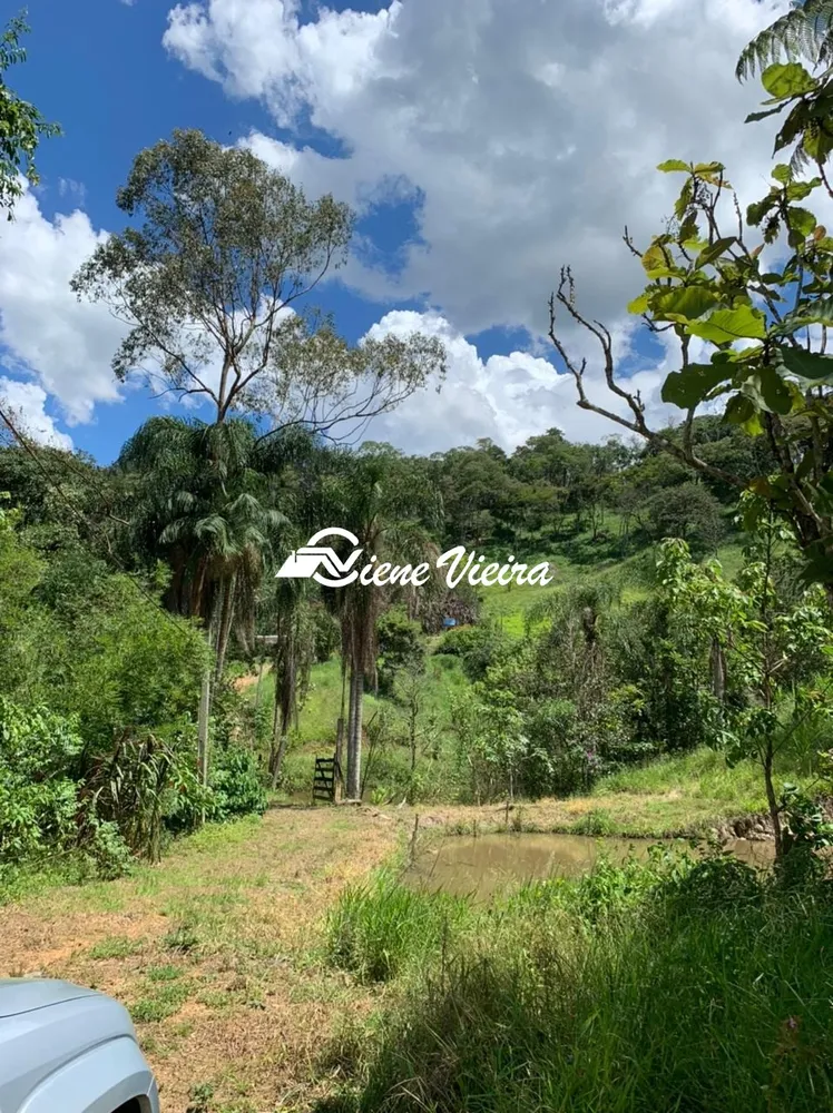 Sítio, 3 quartos, 5 hectares - Foto 8