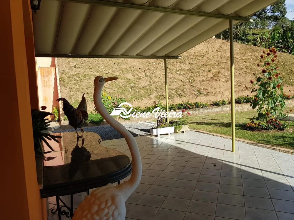 Chácara, 6 quartos, 3 hectares - Foto 8