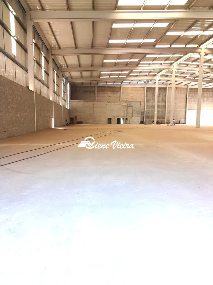 Depósito-Galpão, 5000 m² - Foto 3