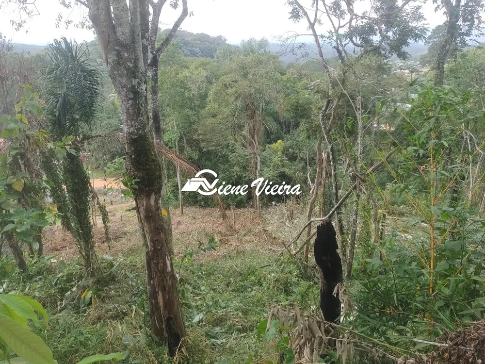 Terreno, 1139 m² - Foto 2