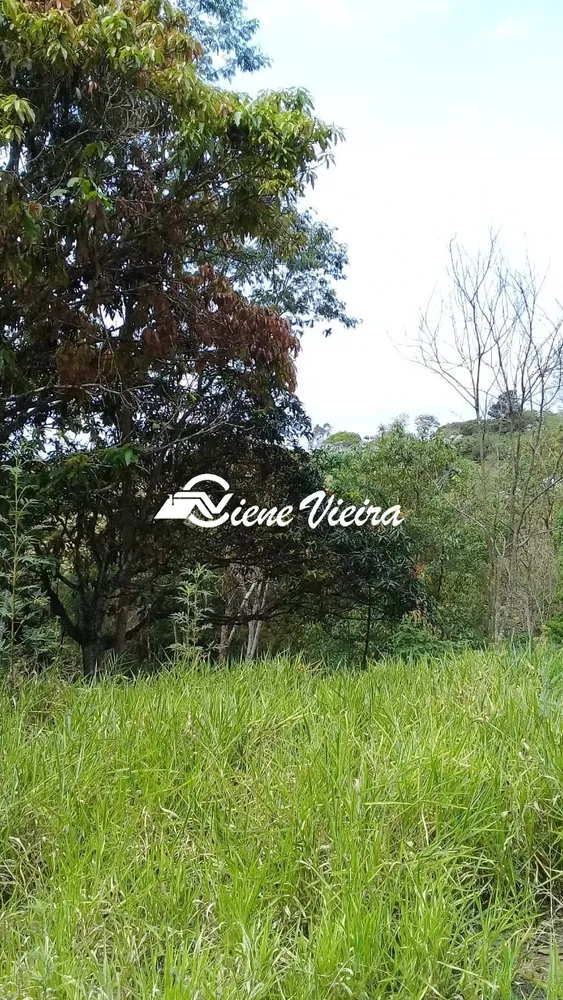 Terreno, 2522 m² - Foto 4