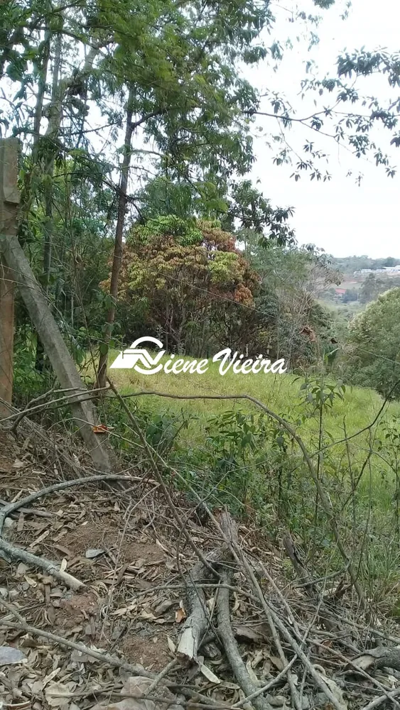 Terreno, 2522 m² - Foto 2