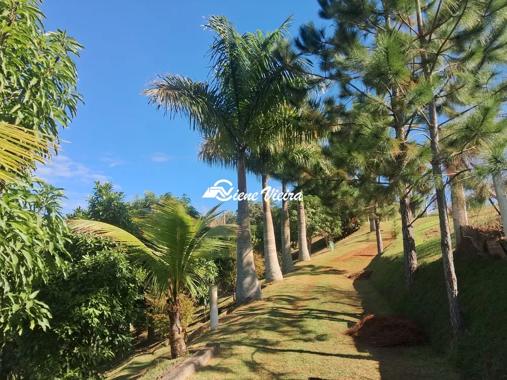 Chácara, 3 quartos, 6928 m² - Foto 4