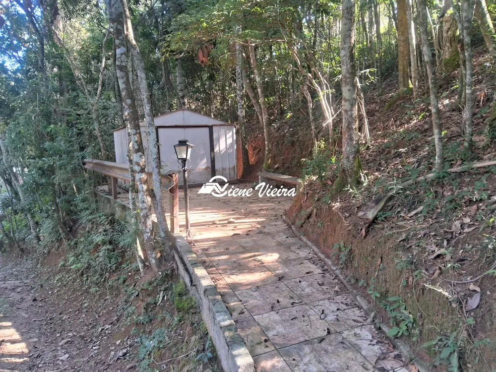 Chácara, 3 quartos, 6928 m² - Foto 5