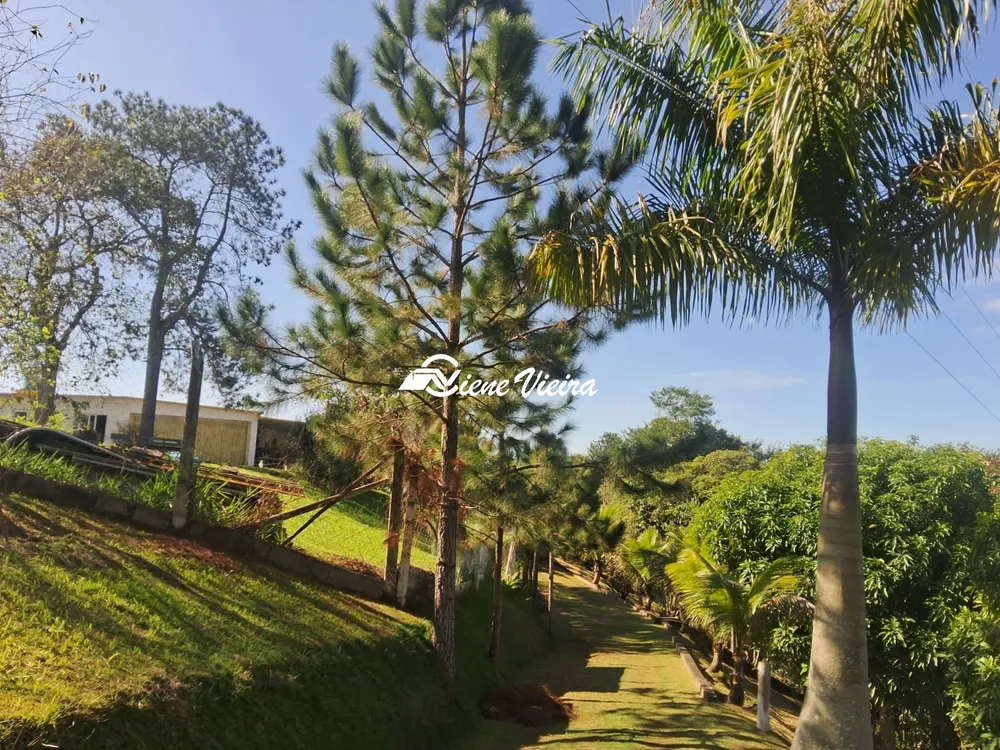 Chácara, 3 quartos, 6928 m² - Foto 3