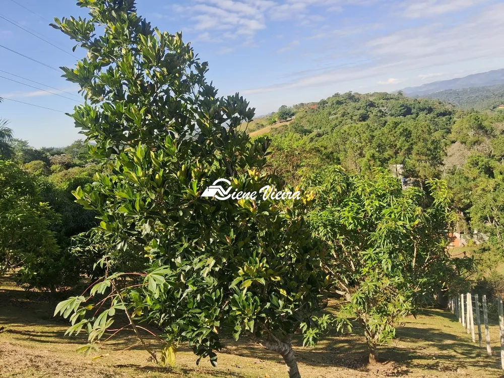Chácara, 3 quartos, 6928 m² - Foto 2