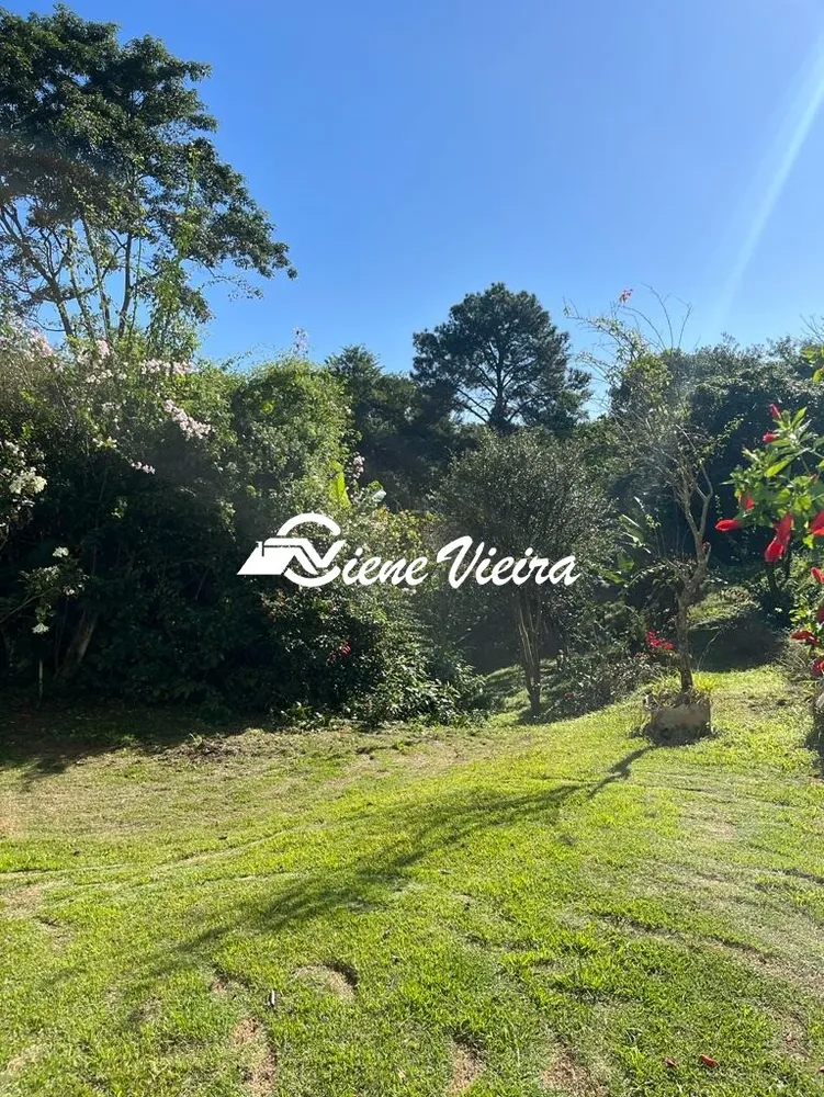Chácara, 3 quartos, 5000 m² - Foto 3