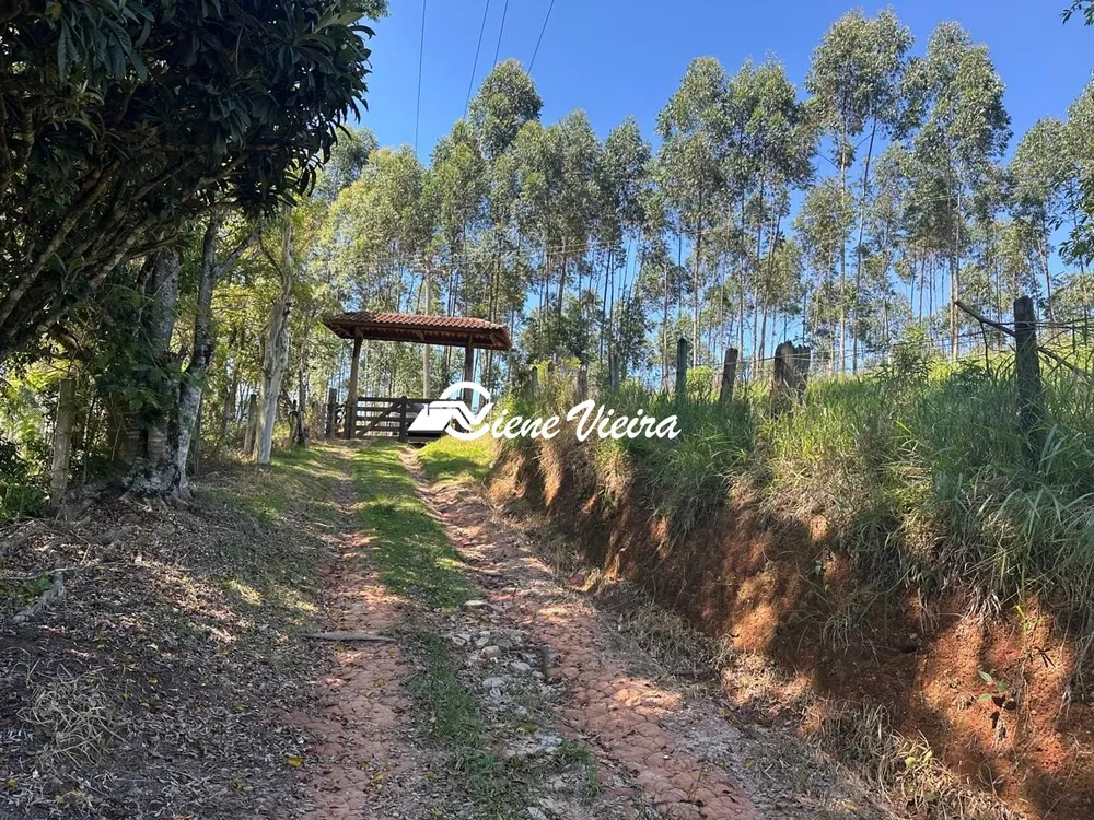 Sítio, 2 quartos, 5 hectares - Foto 4