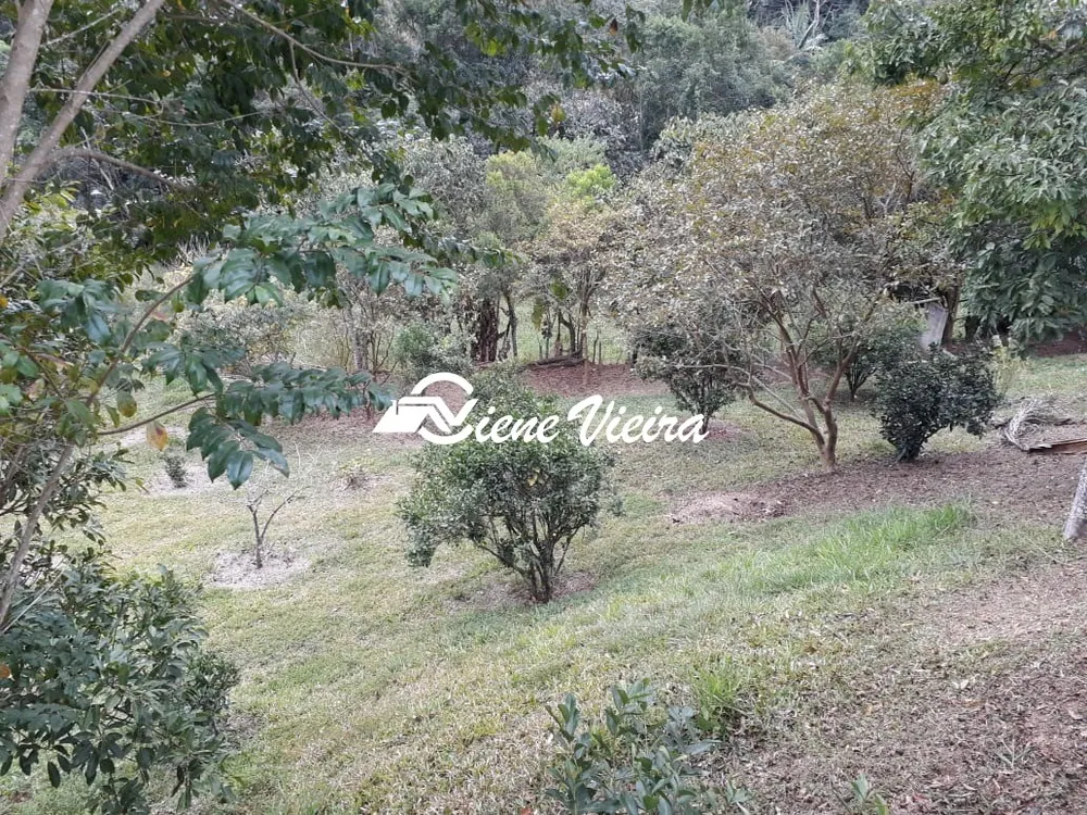 Chácara, 4 quartos, 8000 m² - Foto 8