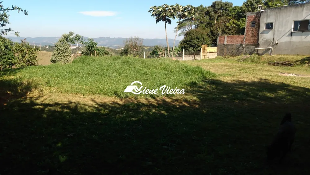 Chácara, 2 quartos, 4100 m² - Foto 6