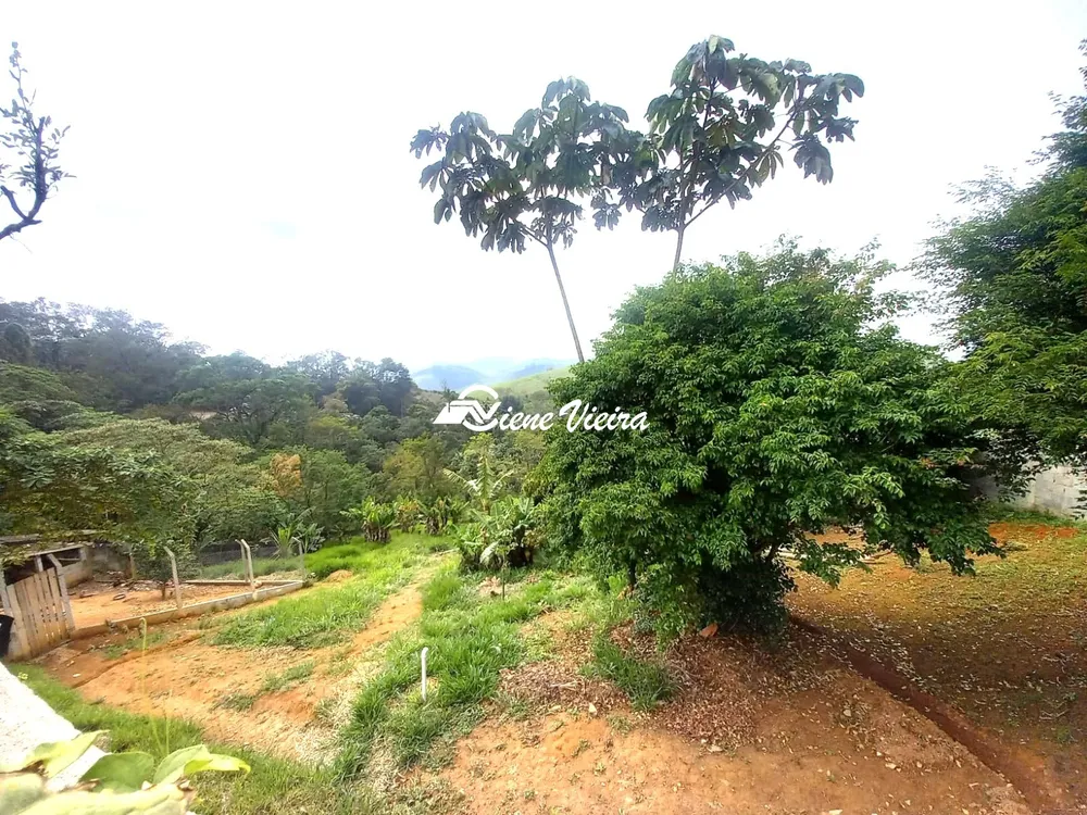 Chácara, 2 quartos, 4100 m² - Foto 7