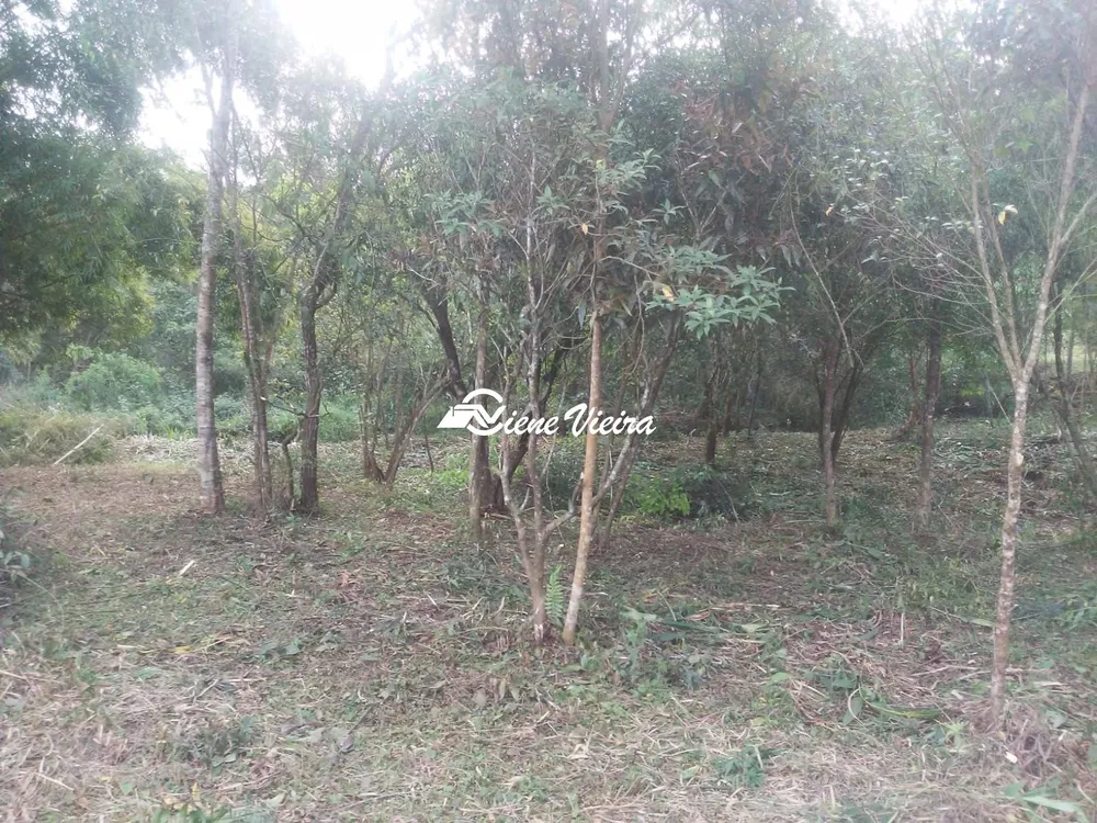 Chácara, 3 quartos, 1 hectares - Foto 3