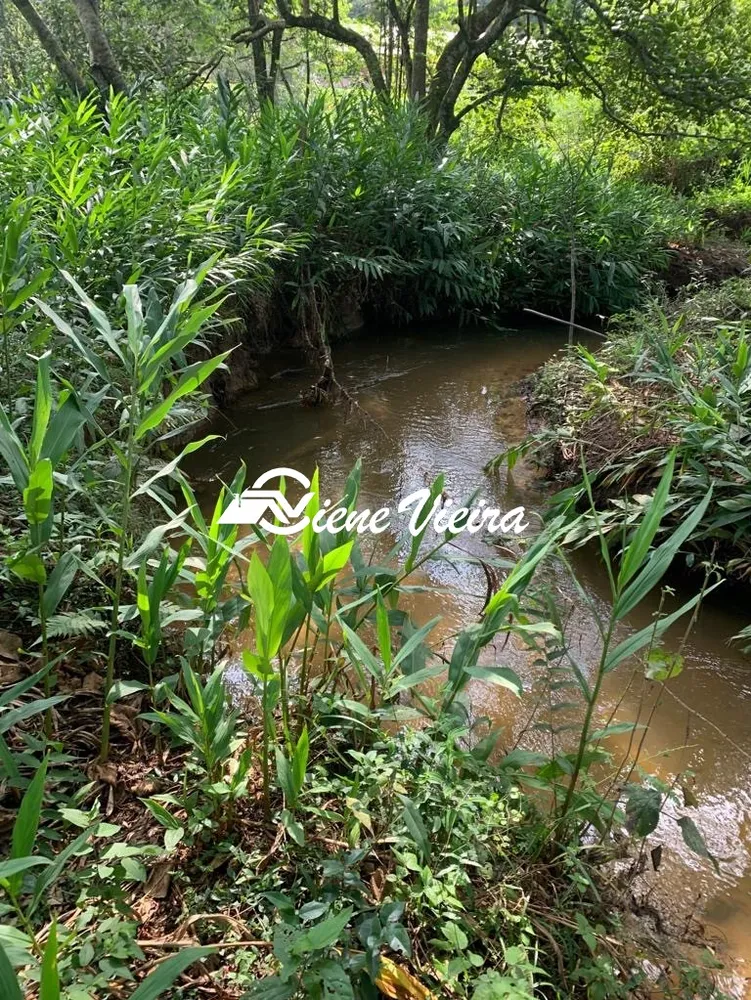 Chácara, 3 quartos, 1 hectares - Foto 4