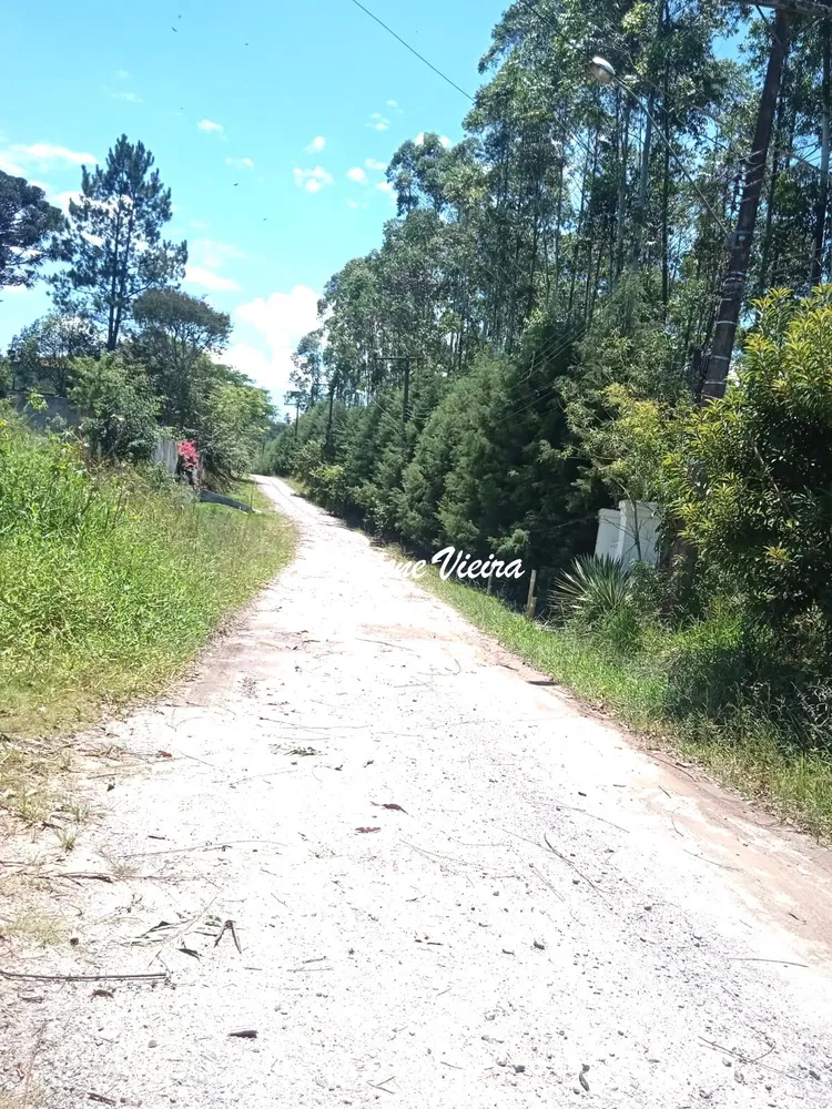 Chácara, 3 quartos, 2500 m² - Foto 6