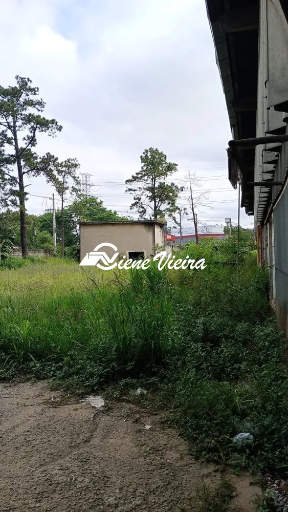 Depósito-Galpão, 5000 m² - Foto 7