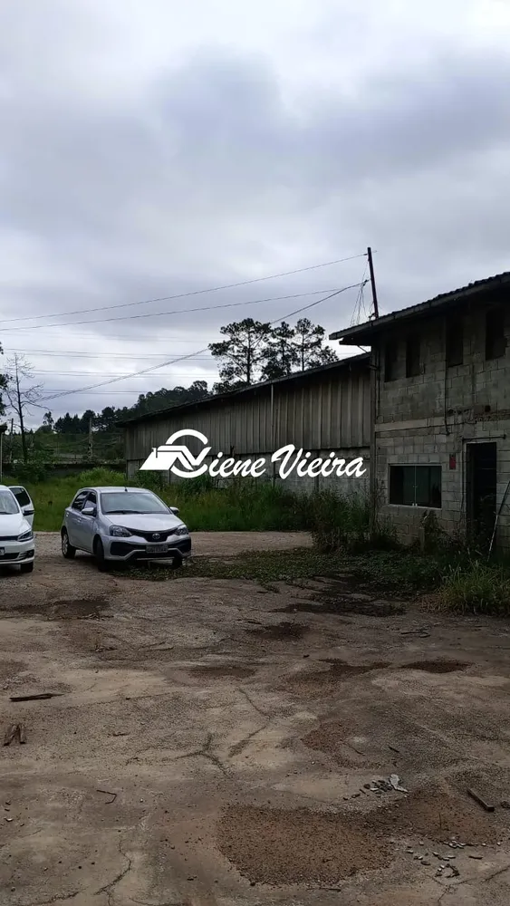 Depósito-Galpão, 5000 m² - Foto 6
