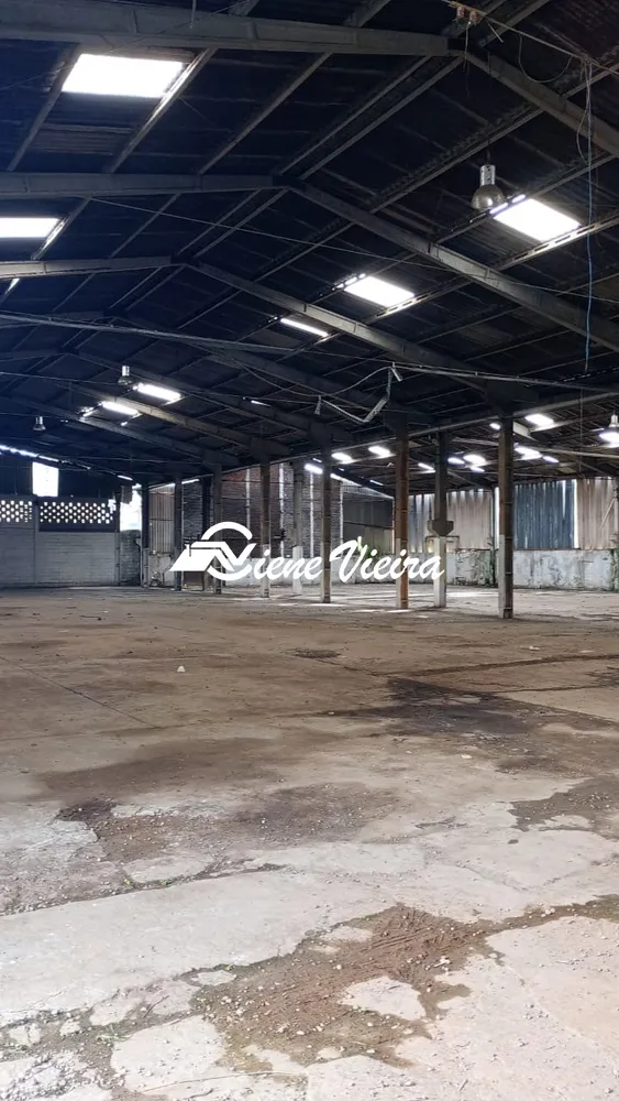 Depósito-Galpão, 5000 m² - Foto 3