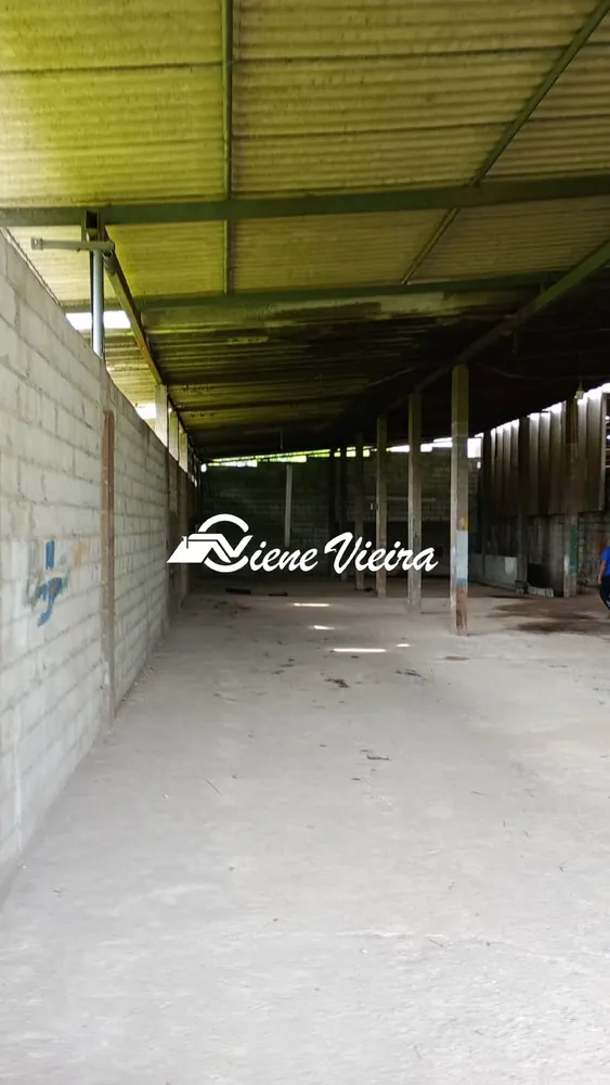 Depósito-Galpão, 5000 m² - Foto 4