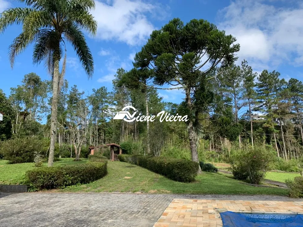 Chácara, 4 quartos, 4 hectares - Foto 4