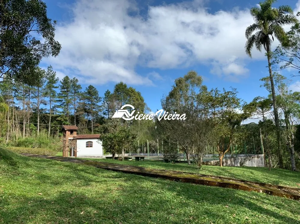 Chácara, 4 quartos, 4 hectares - Foto 3
