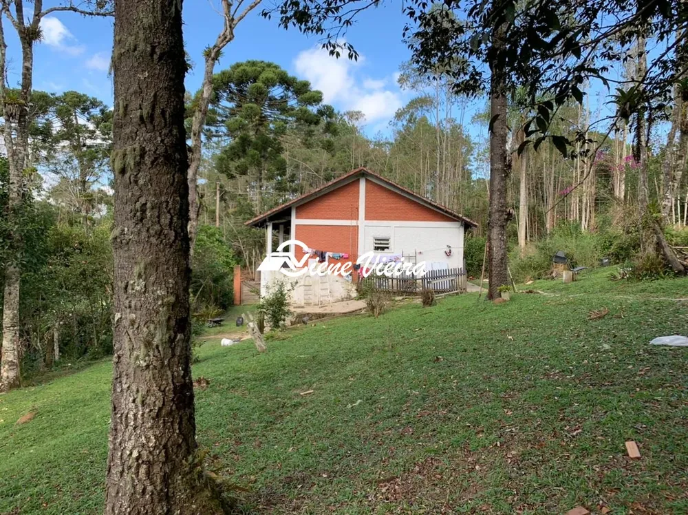 Chácara, 4 quartos, 4 hectares - Foto 2