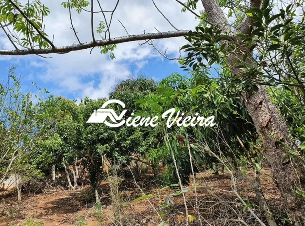 Terreno, 1275 m² - Foto 4